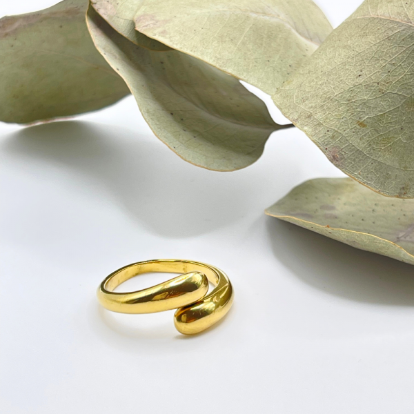 Bague en acier inoxydable Curieuse - Éternel éclat