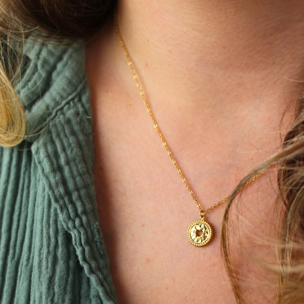 Collier en acier inoxydable Accessible