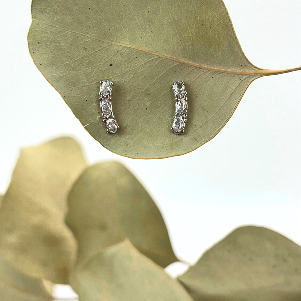 Boucles d'oreilles en acier inoxydables Festive