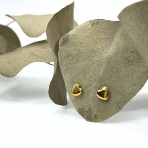 Puces Infaillible