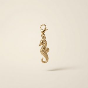 Charm – hippocampe