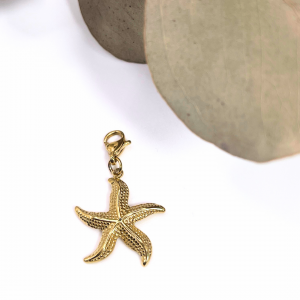 Charm – étoile de mer