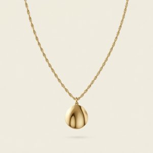 Collier Rayonnant