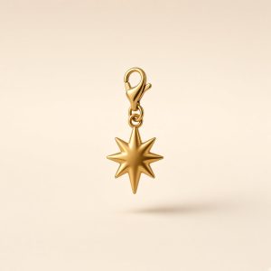 Charm – étoile brossée